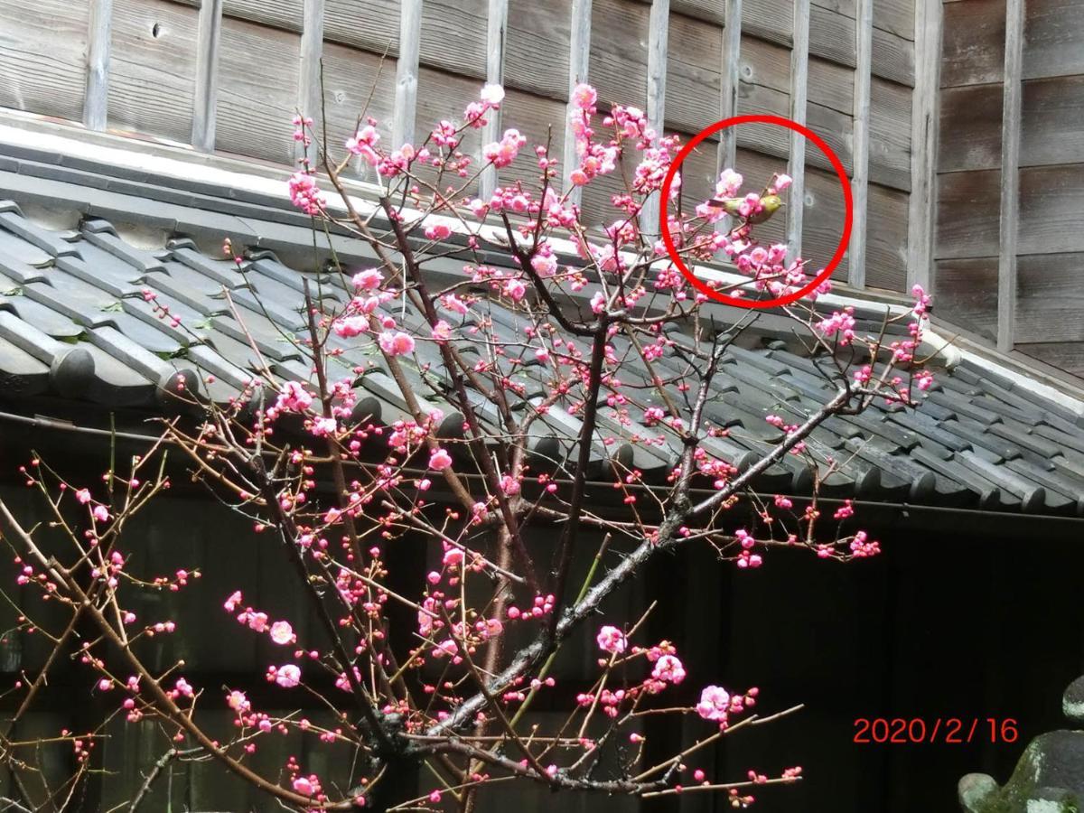 Hoshidekan Ise Esterno foto